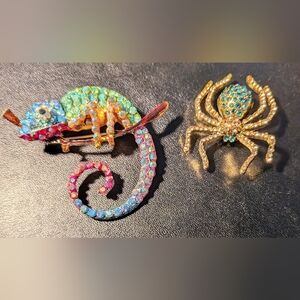 Colorful Chameleon and Gold Spider Brooch Set